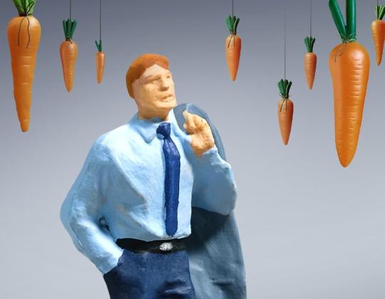 Das Bild zeigt die Figur eines Interim Managers inmitten hängender Karotten.